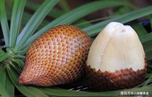 青雀吃瓜小说推荐,揭秘小说中的神秘世界与爱恨情仇