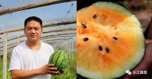 吃瓜星球-李西瓜,李西瓜的奇幻之旅