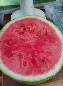 中山医院吃瓜,揭秘背后的真相与反思