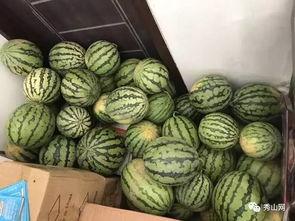 榆林府吃瓜视频,揭秘当地特色美食与民间风情