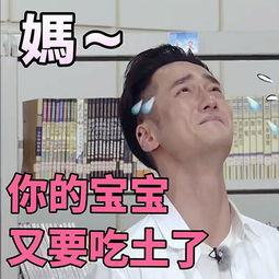男明星吃瓜表情包,揭秘娱乐圈幕后风云