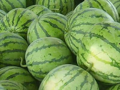 吃瓜过多会怎样,揭秘网络信息过载的隐忧