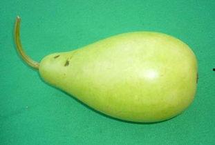 迷彩蒲瓜怎么吃,解锁清新口感新体验