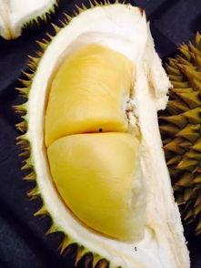 大半夜豆瓣吃瓜,揭秘娱乐圈那些不为人知的幕后故事