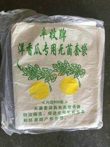 吃瓜袋中袋,趣味与创意的完美结合