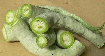 吃蛇瓜吃到崩溃,挑战味蕾极限，体验崩溃边缘的美食冒险