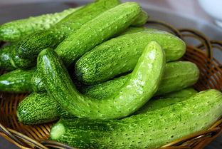 晚上用瓜白天吃瓜什么梗