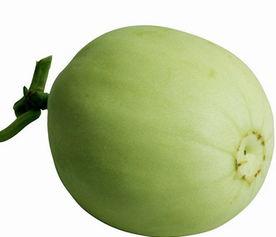 梨瓜吃裂的,梨瓜裂果现象解析与防治策略