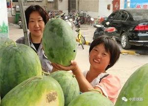 紫灯吃瓜,揭秘娱乐圈的幕后故事