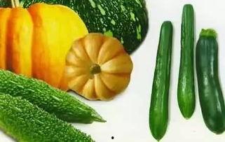 济宁吃瓜孙先生,揭秘当地独特美食文化