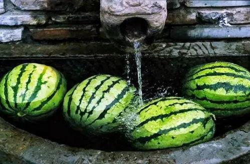 带家人吃瓜,与家人共享美味瓜果的温馨瞬间