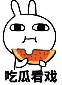 胖虎哥哥吃瓜,胖虎哥哥的瓜田奇遇记