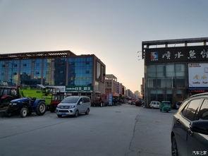 曹县五金城吃瓜